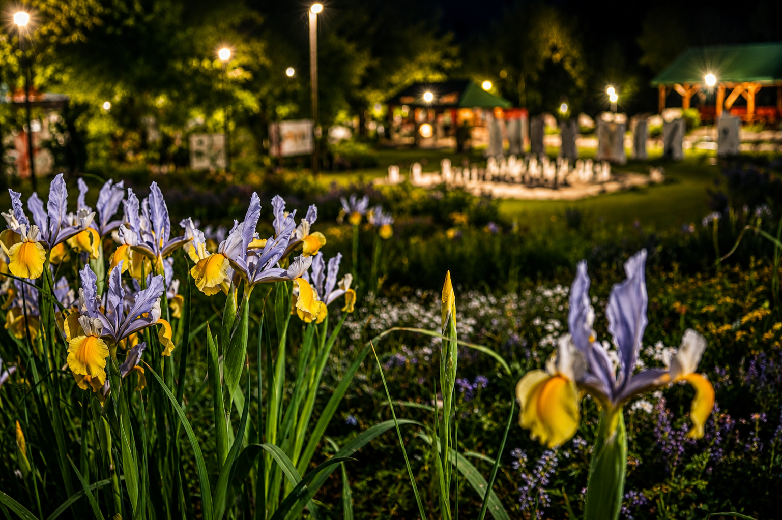 Ravne - fotografija 14